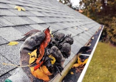 the green gardener facebook gallery 10