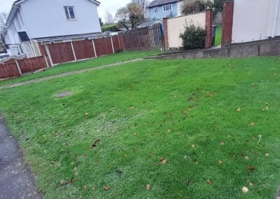 the green gardener facebook gallery 30