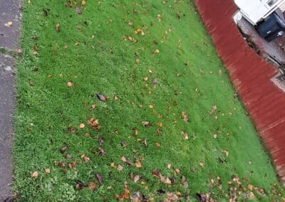 the green gardener facebook gallery 32