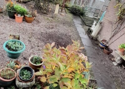 the green gardener facebook gallery 37