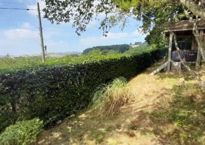 the green gardener facebook gallery 46