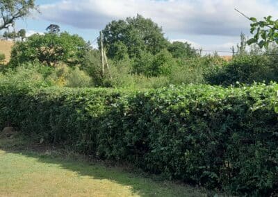 the green gardener facebook gallery 47