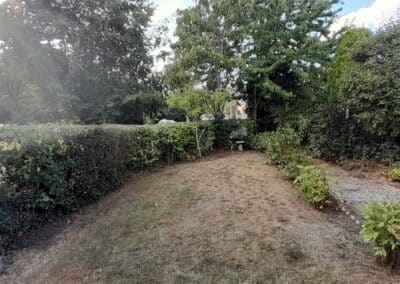 the green gardener facebook gallery 52