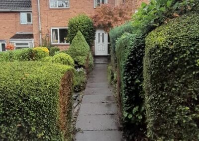 the green gardener facebook gallery 53