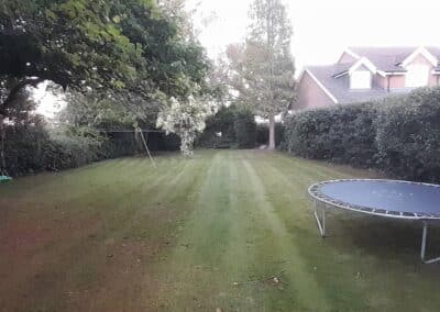 the green gardener facebook gallery 59