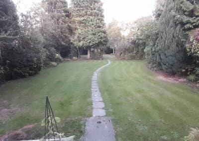 the green gardener facebook gallery 60